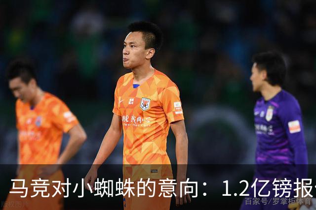 马竞对小蜘蛛的意向：1.2亿镑报价能否打动阿尔瓦雷斯？